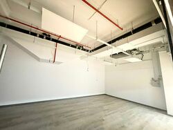 The Flow (D15), Shop House #388637631